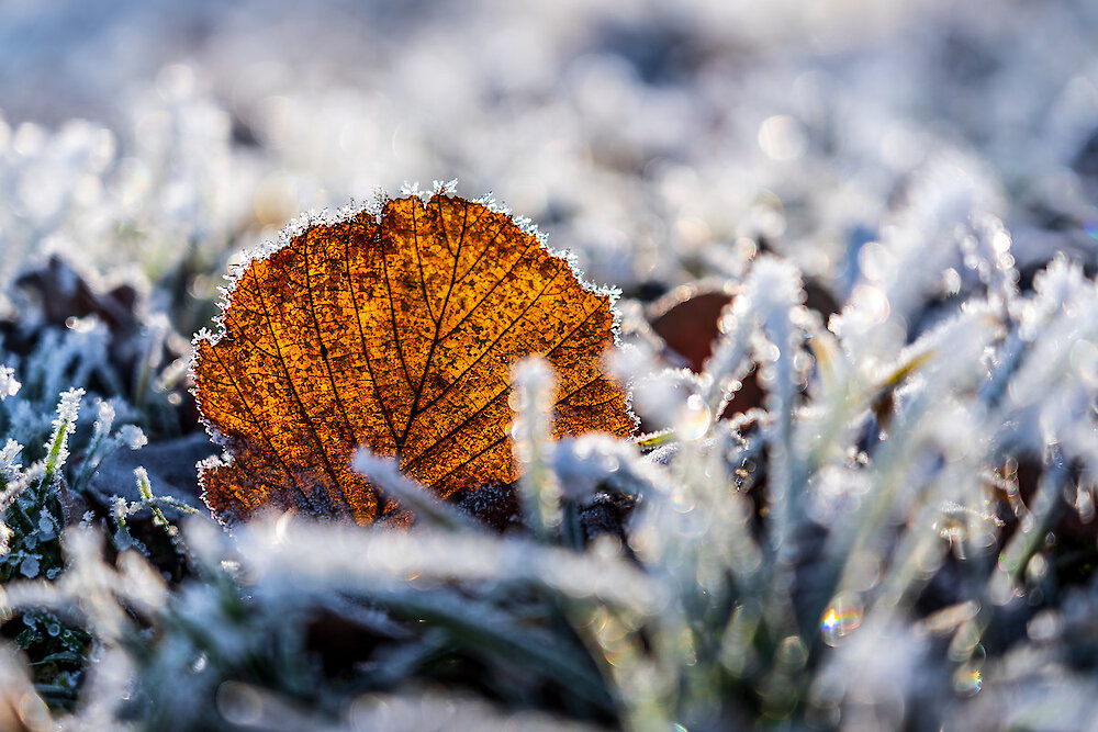 Winterzauber